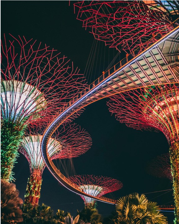 Café en Cerro Alegre