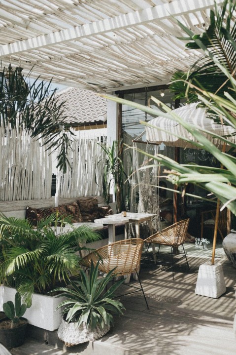 Tramo del sendero entre árboles